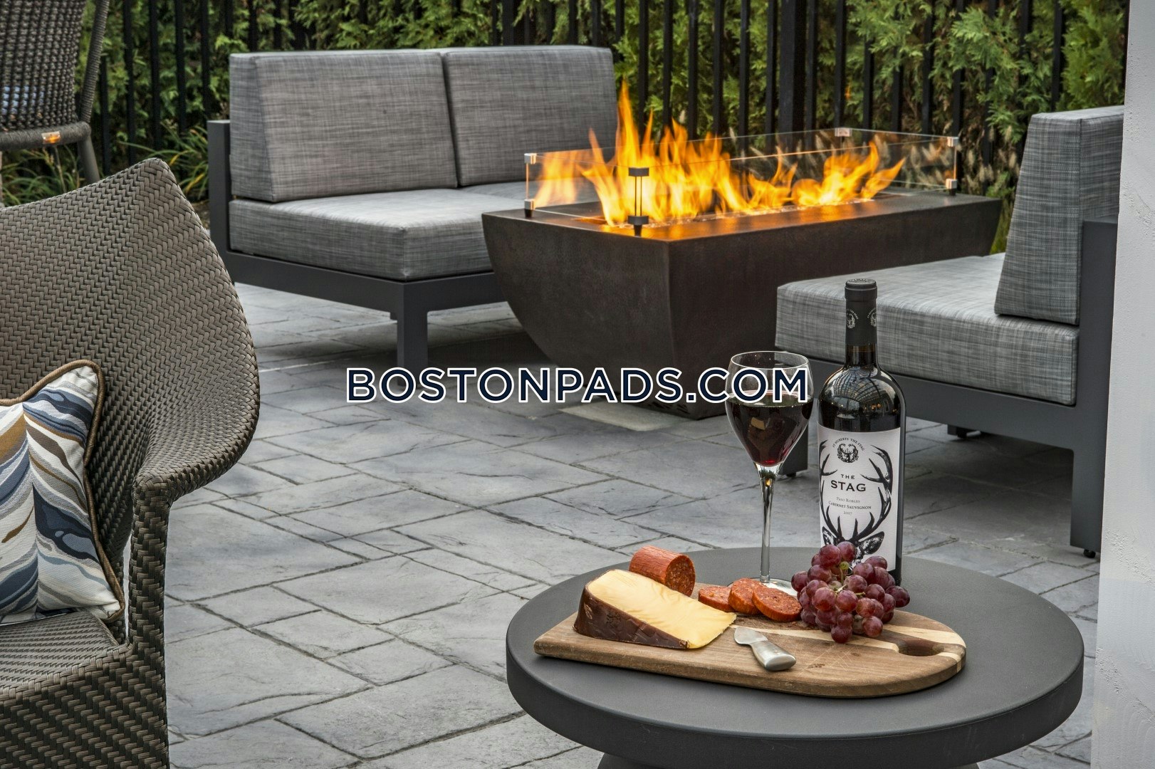 The Buckley Photo 27