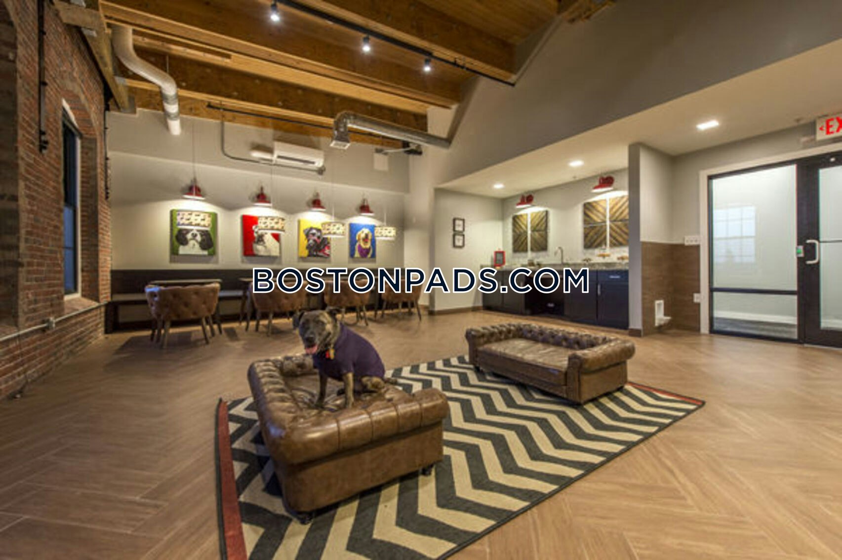 Jackson Street Lofts Photo 13