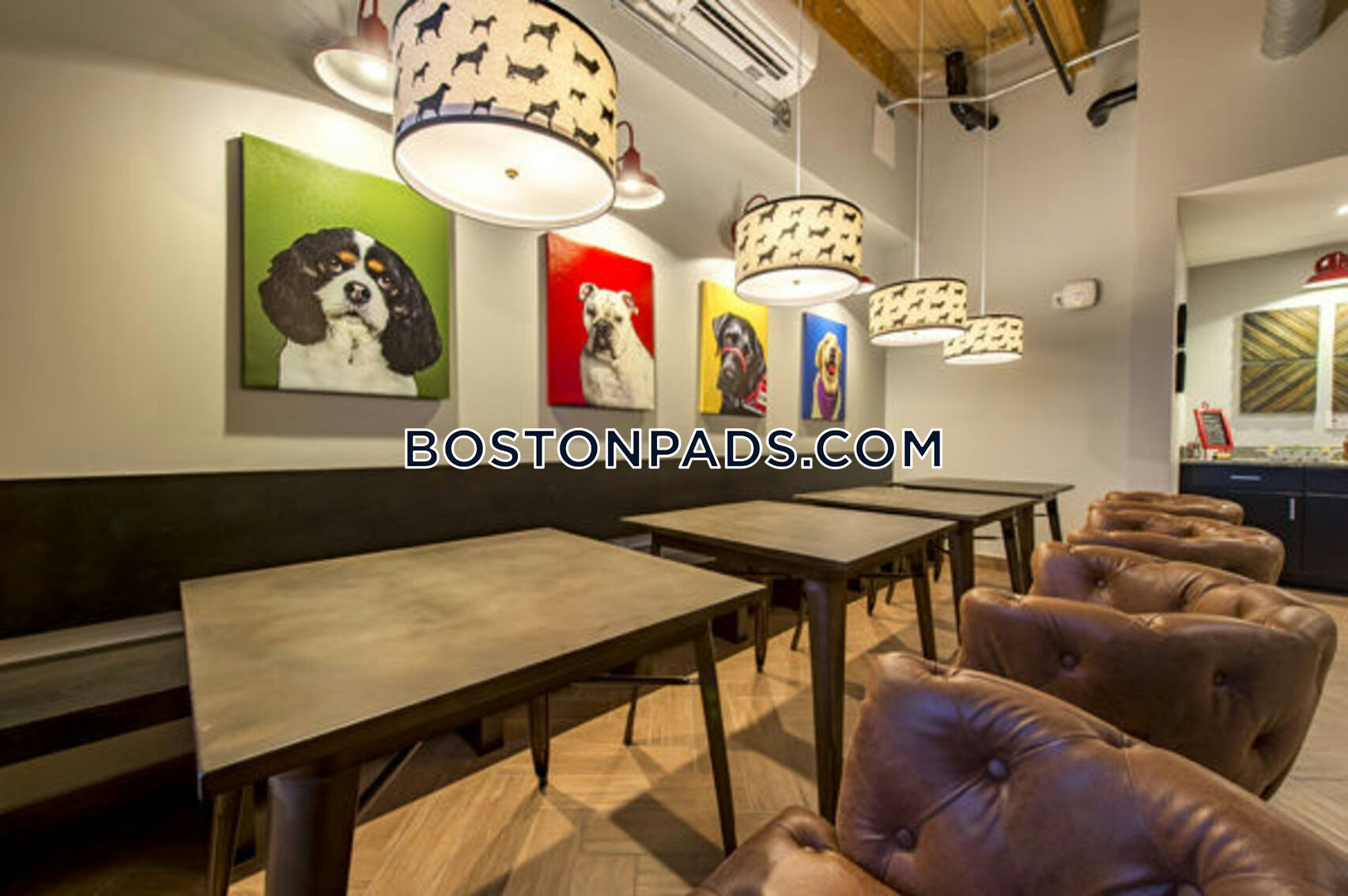 Jackson Street Lofts Photo 19