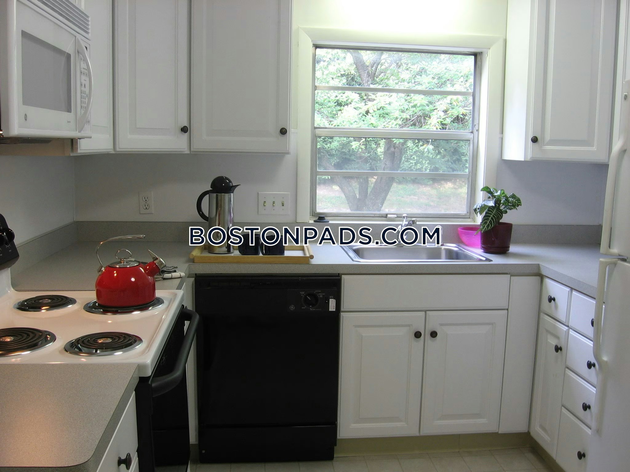 Rosemary Lake Apartments Photo 9