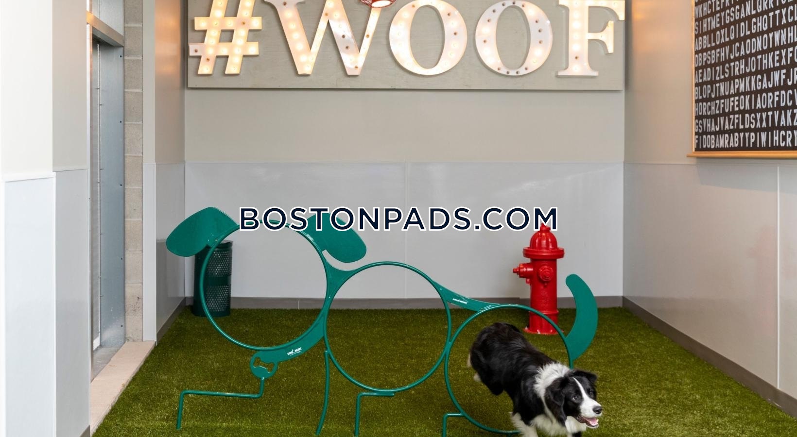 J Malden Center Photo 35