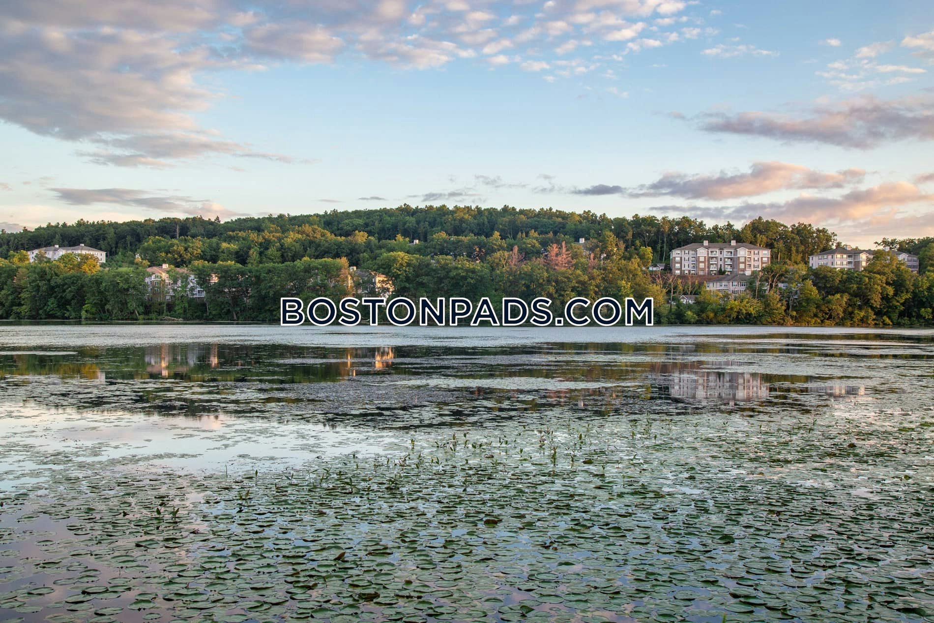 Lodge at Ames Pond Photo 4