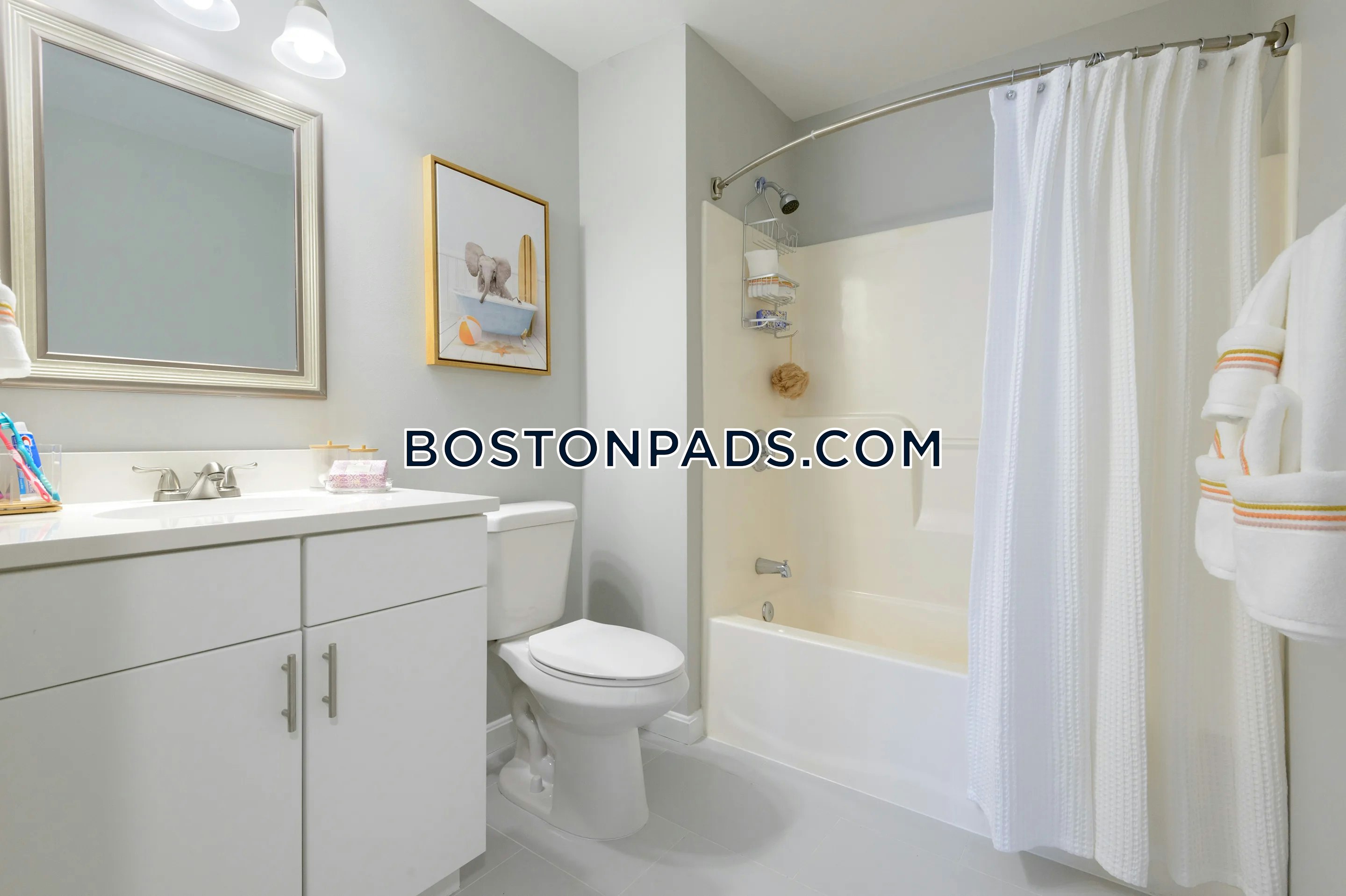 Nexxus Apartments Photo 7