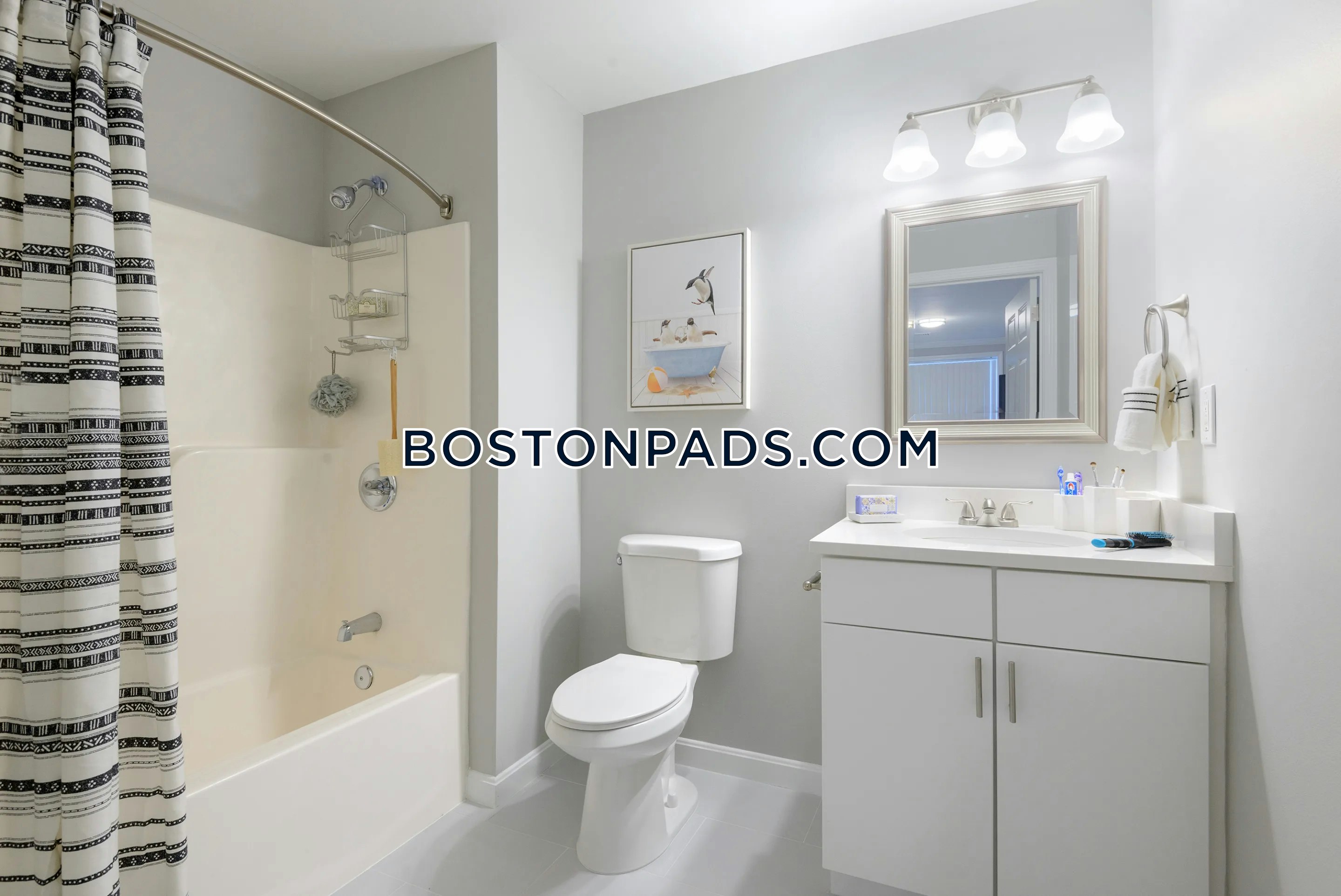 Nexxus Apartments Photo 6