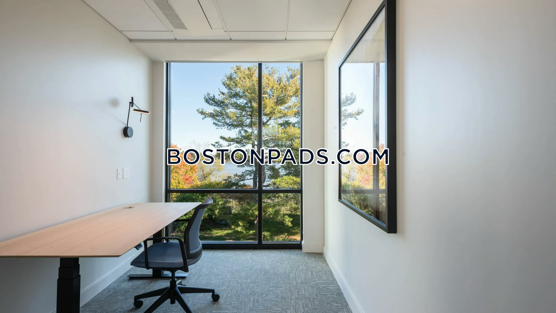 The Basin Apartments Photo 41