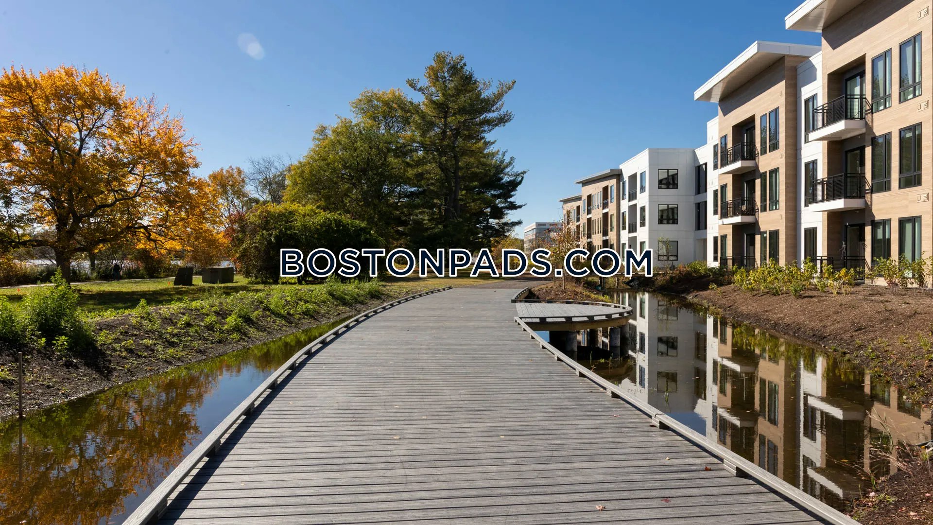 The Basin Apartments Photo 12