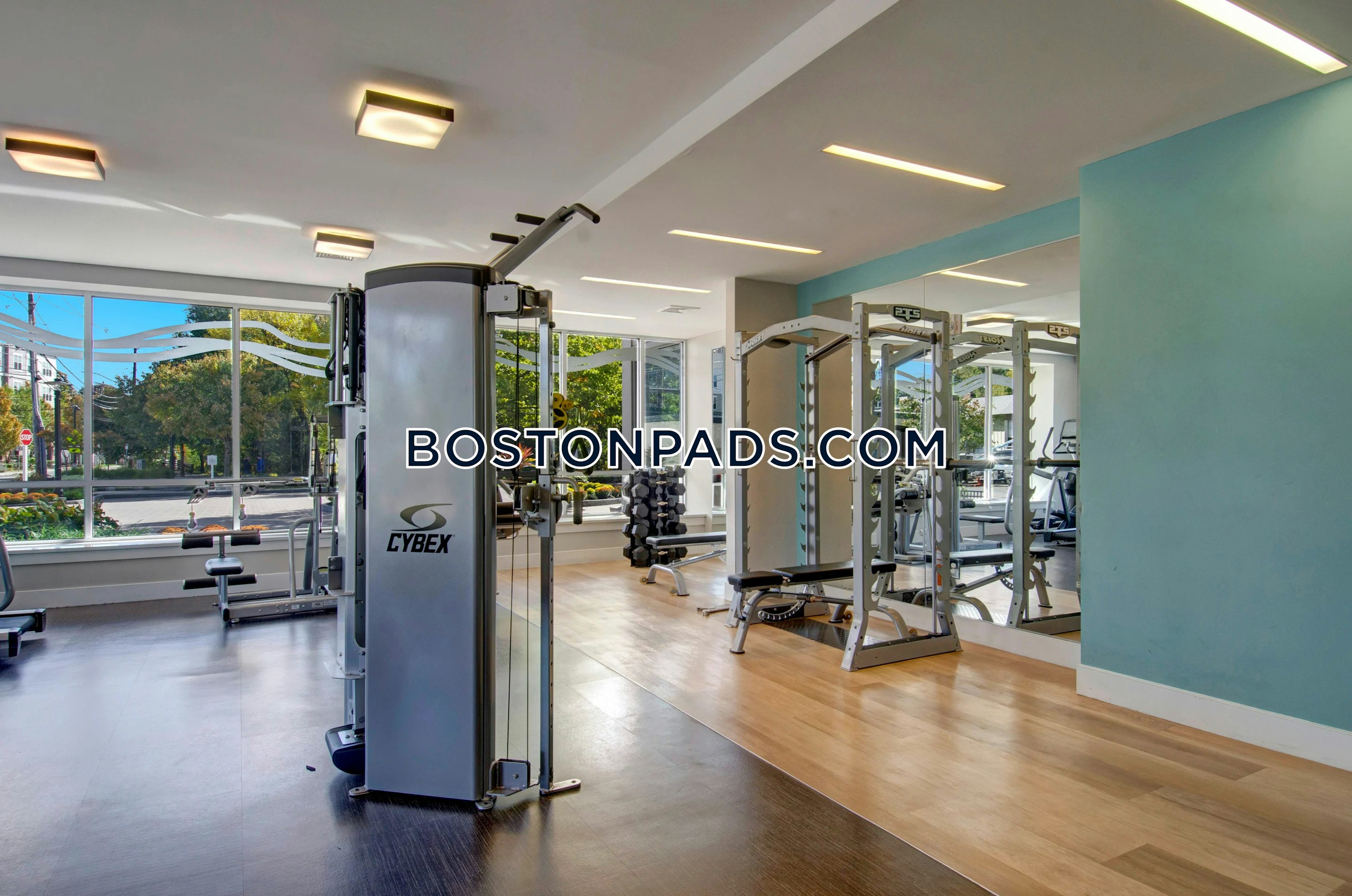 Riverbend on the Charles Photo 4