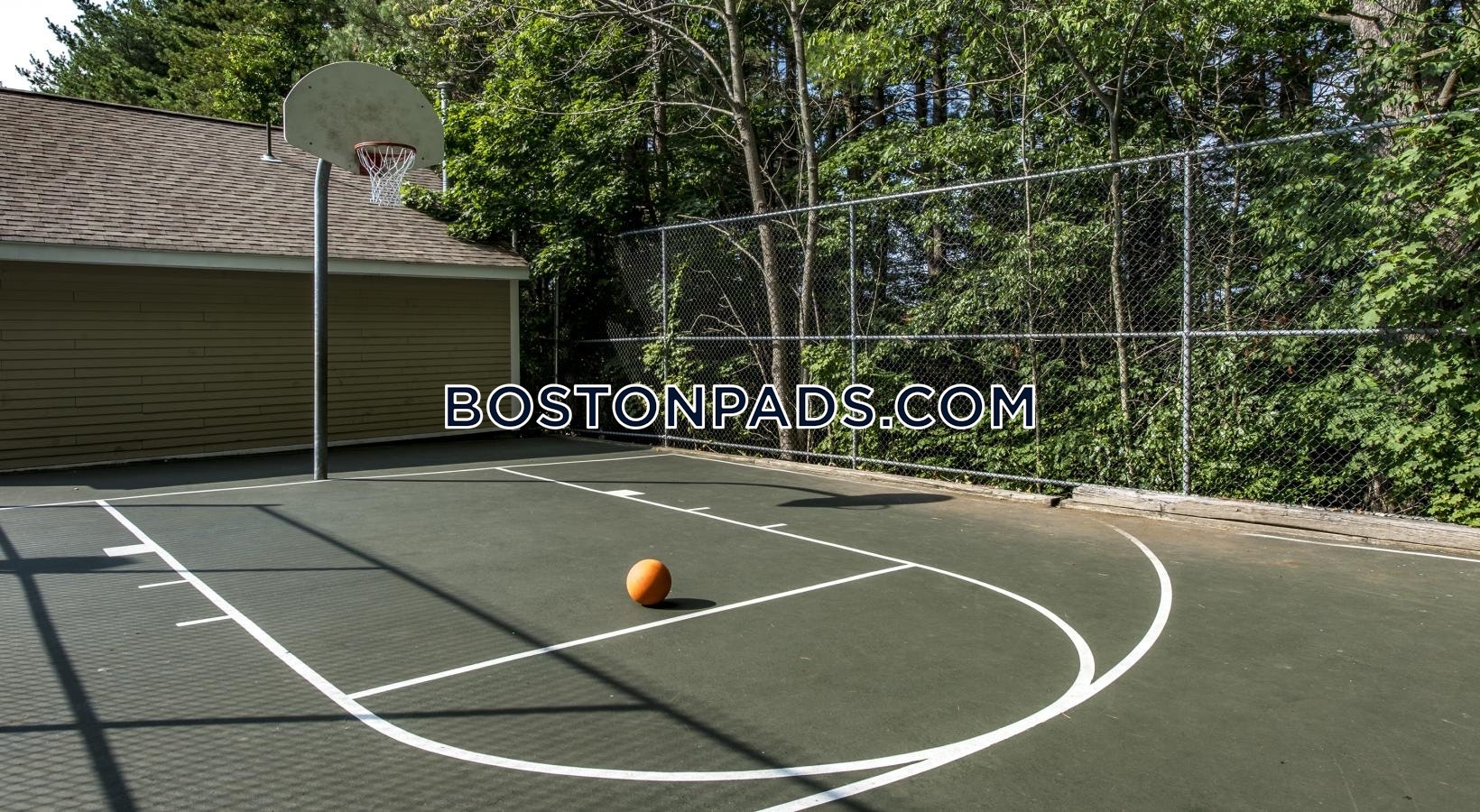 Katahdin Woods Photo 10