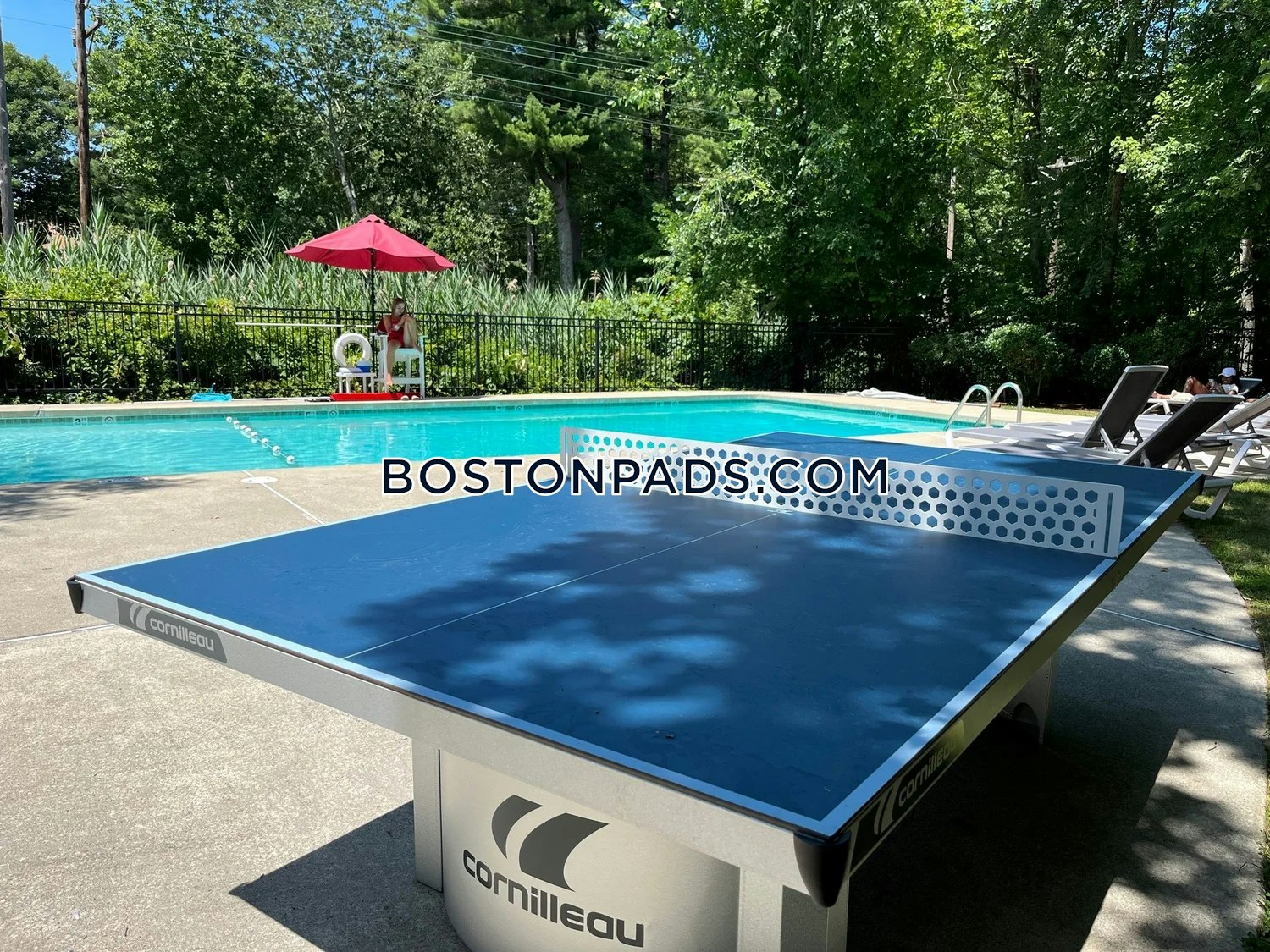 Queen Anne’s Gate Photo 15