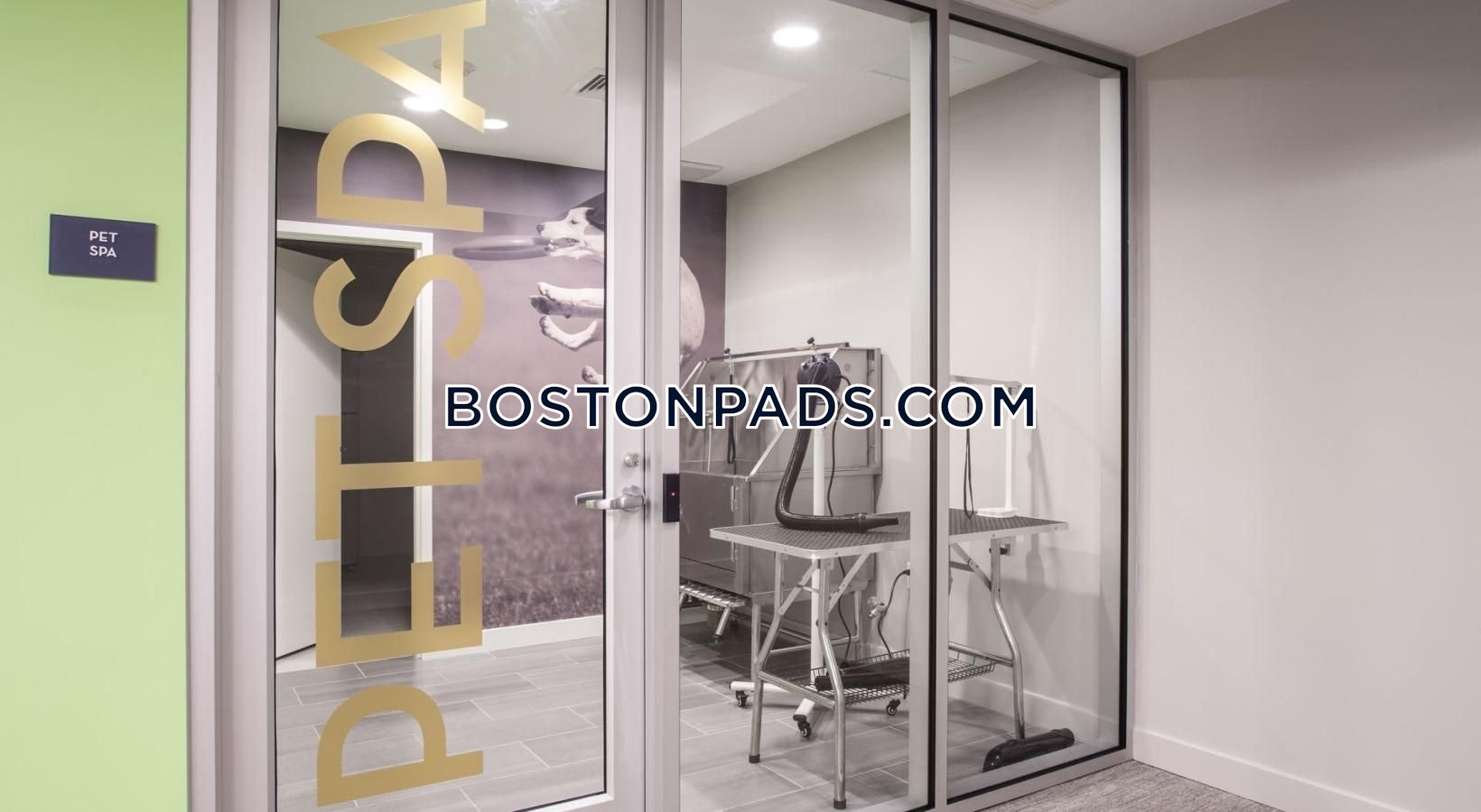 The Flats at 131 Photo 15