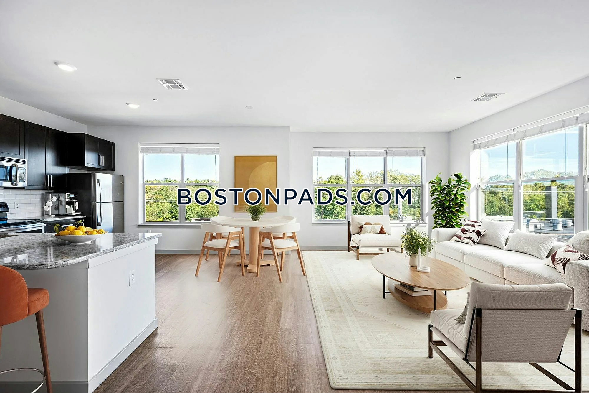 The Washingtons Photo 12