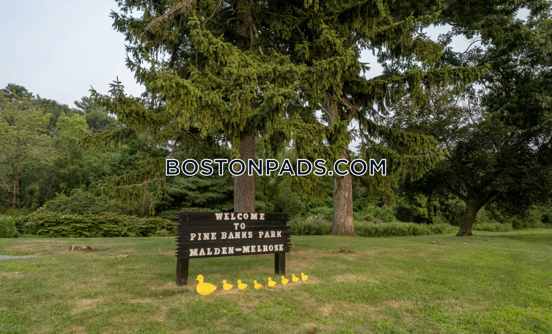 The Washingtons Photo 3