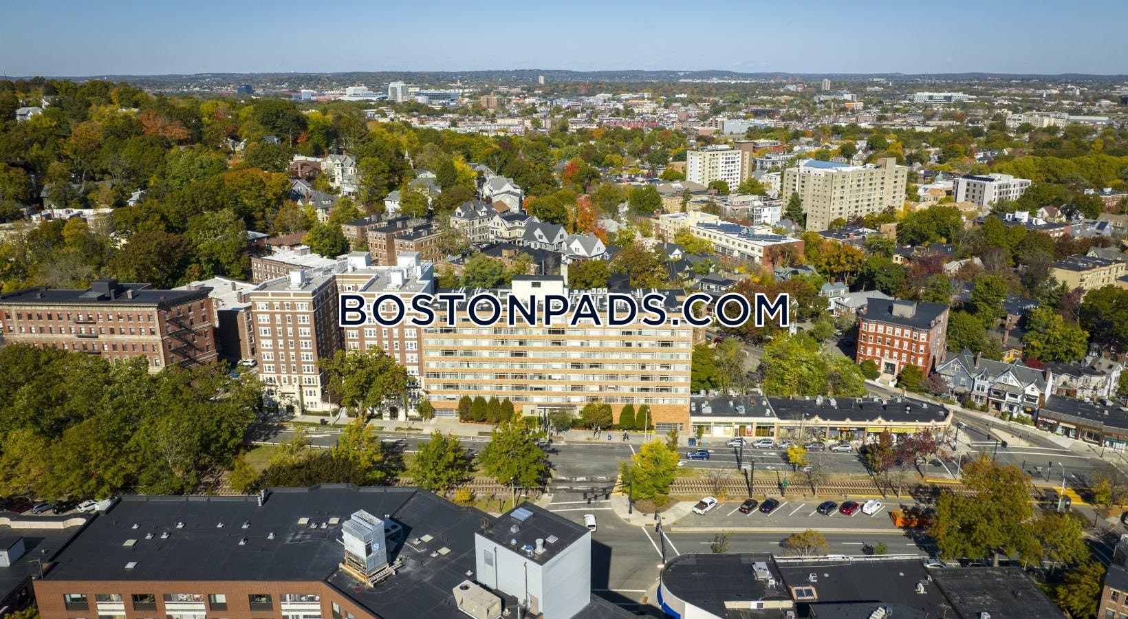 Forte at 1440 Beacon Photo 17