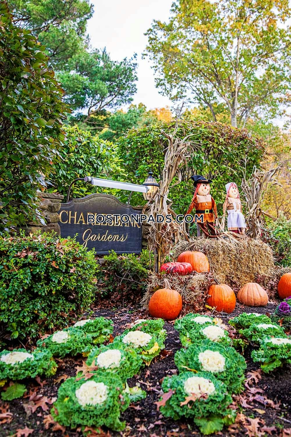 Charlesbank Gardens Photo 24