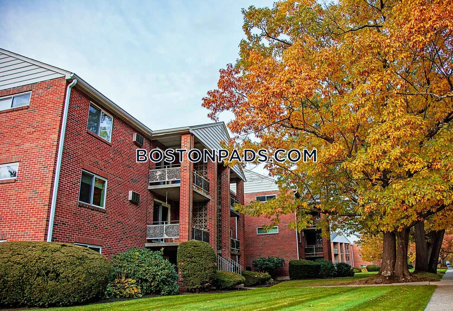 Charlesbank Gardens Photo 16