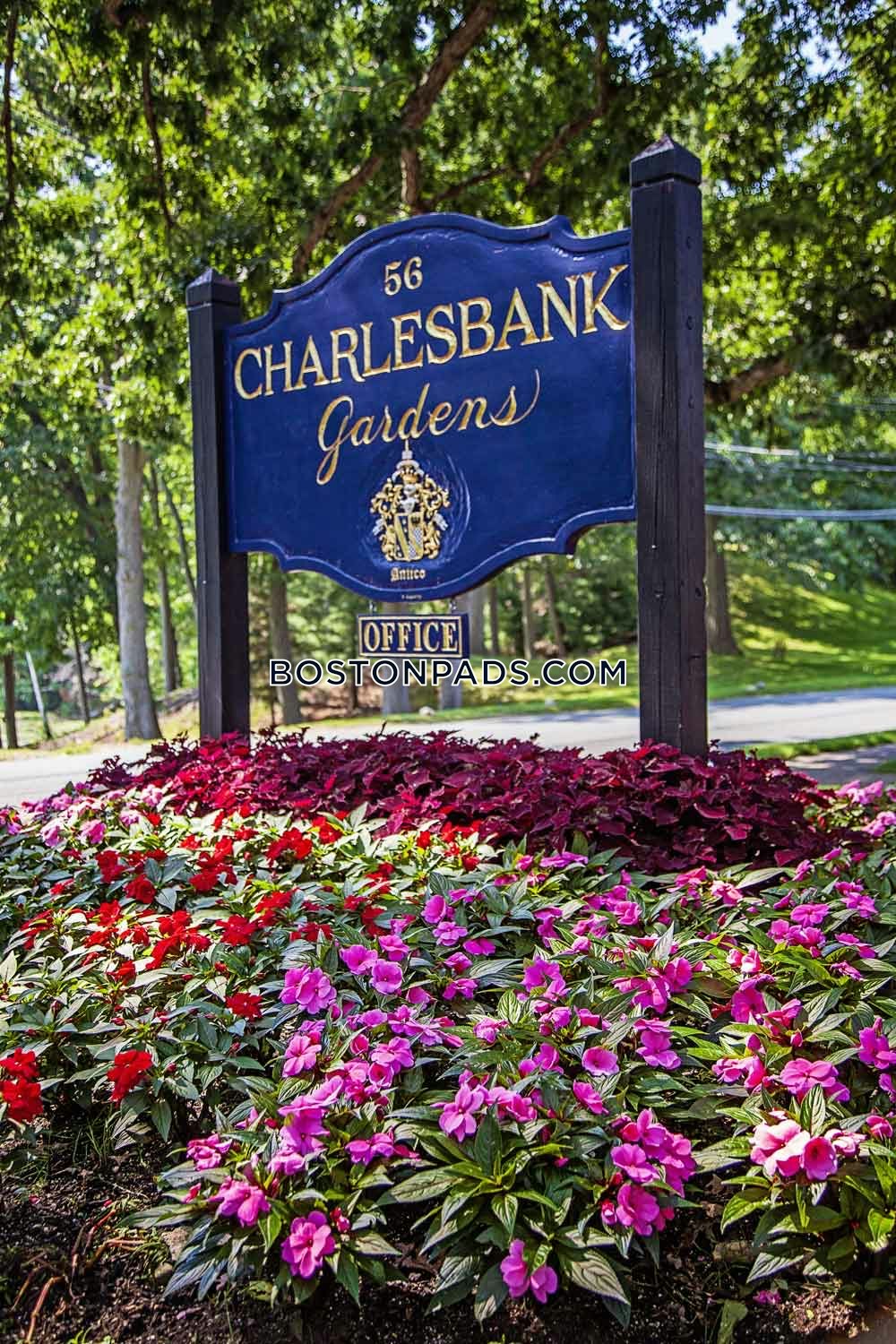 Charlesbank Gardens Photo 20