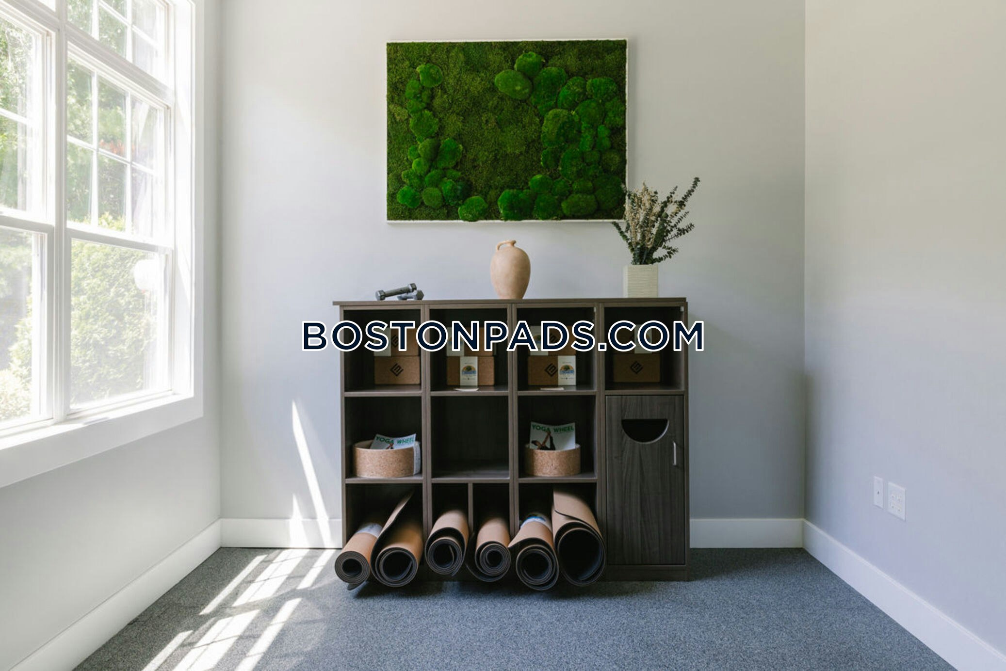 The Enclave at Mansfield Photo 19