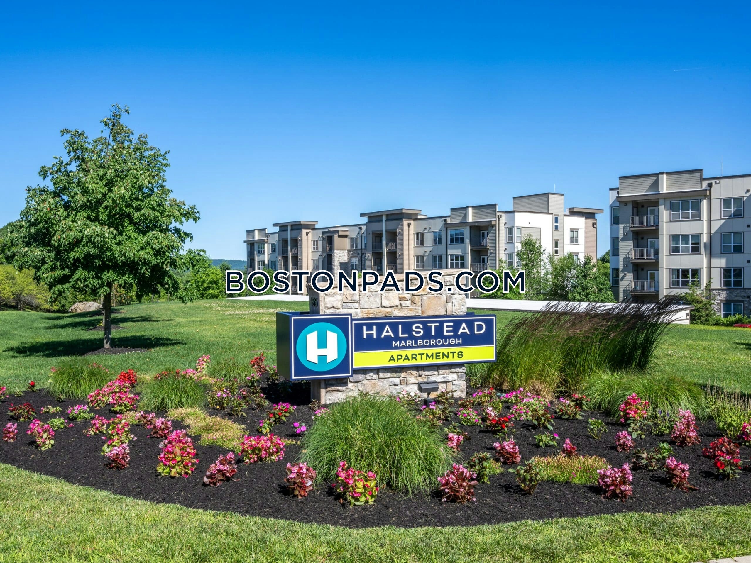 Halstead Marlborough Photo 20