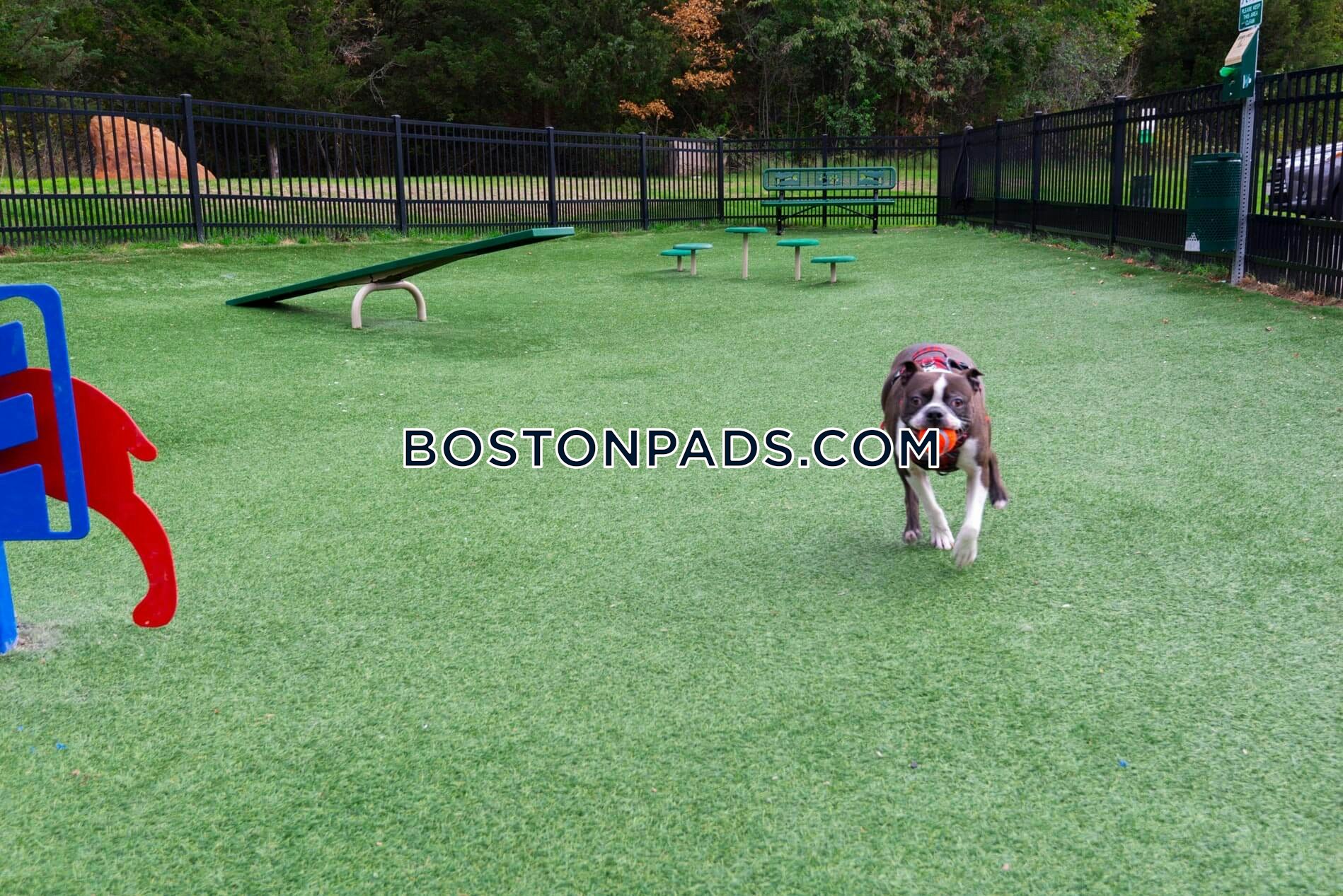 Lenox Farms Photo 37