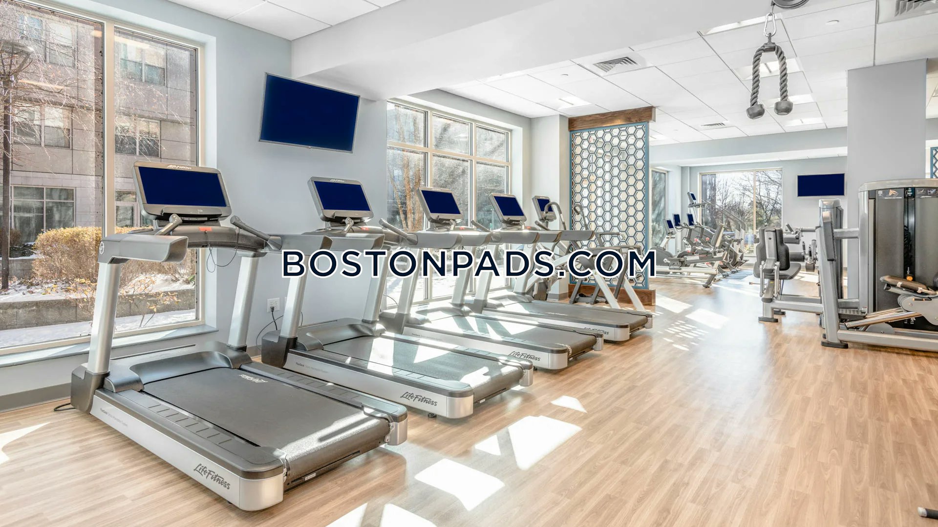 Longview Place Photo 5