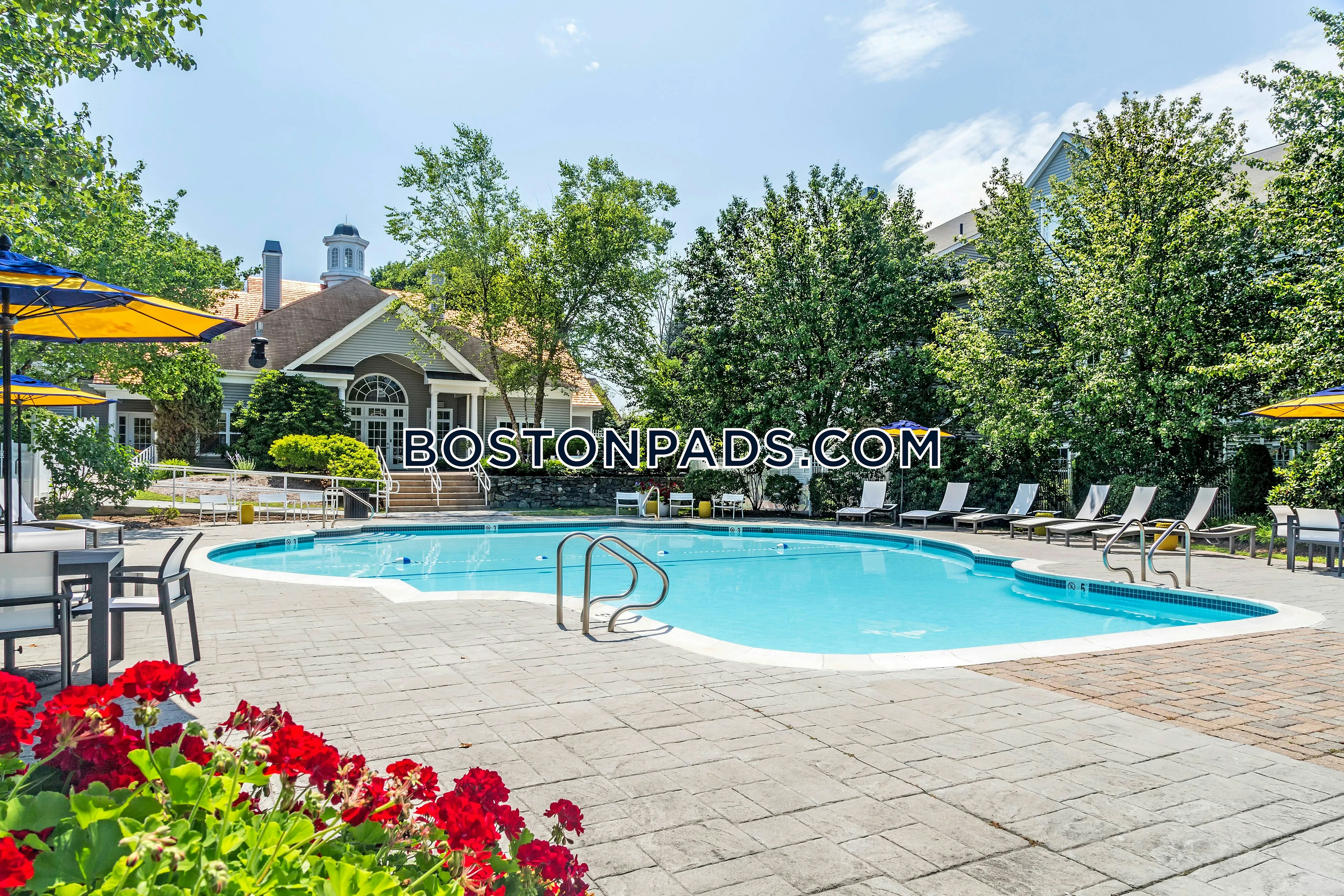 Essex Apartments Photo 8