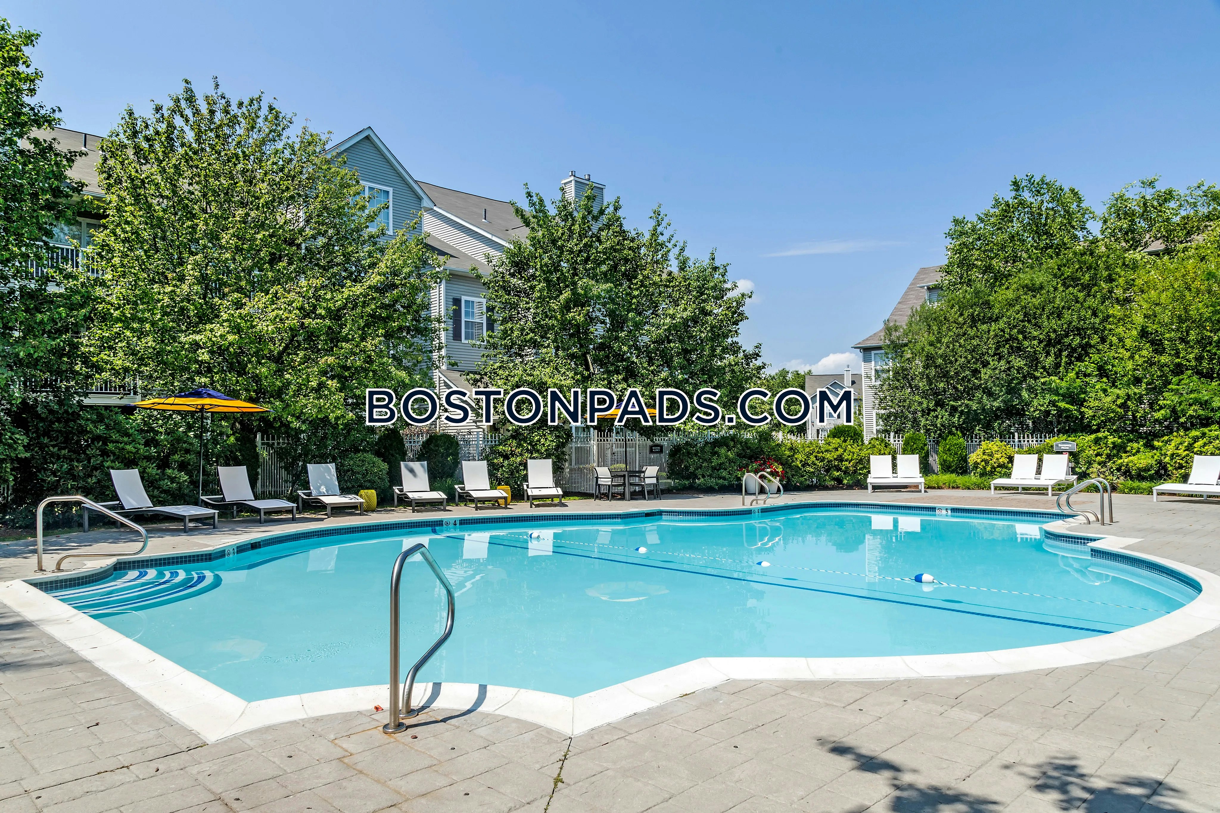 Essex Apartments Photo 5