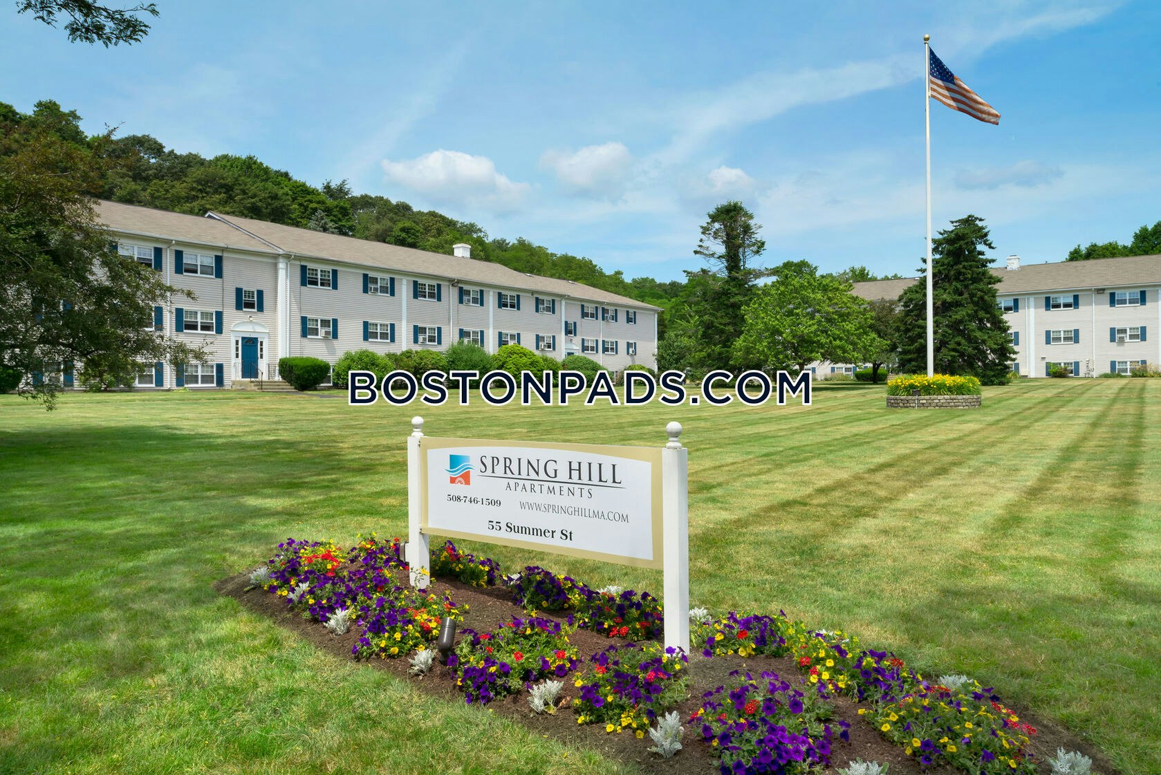 Spring Hill Photo 10