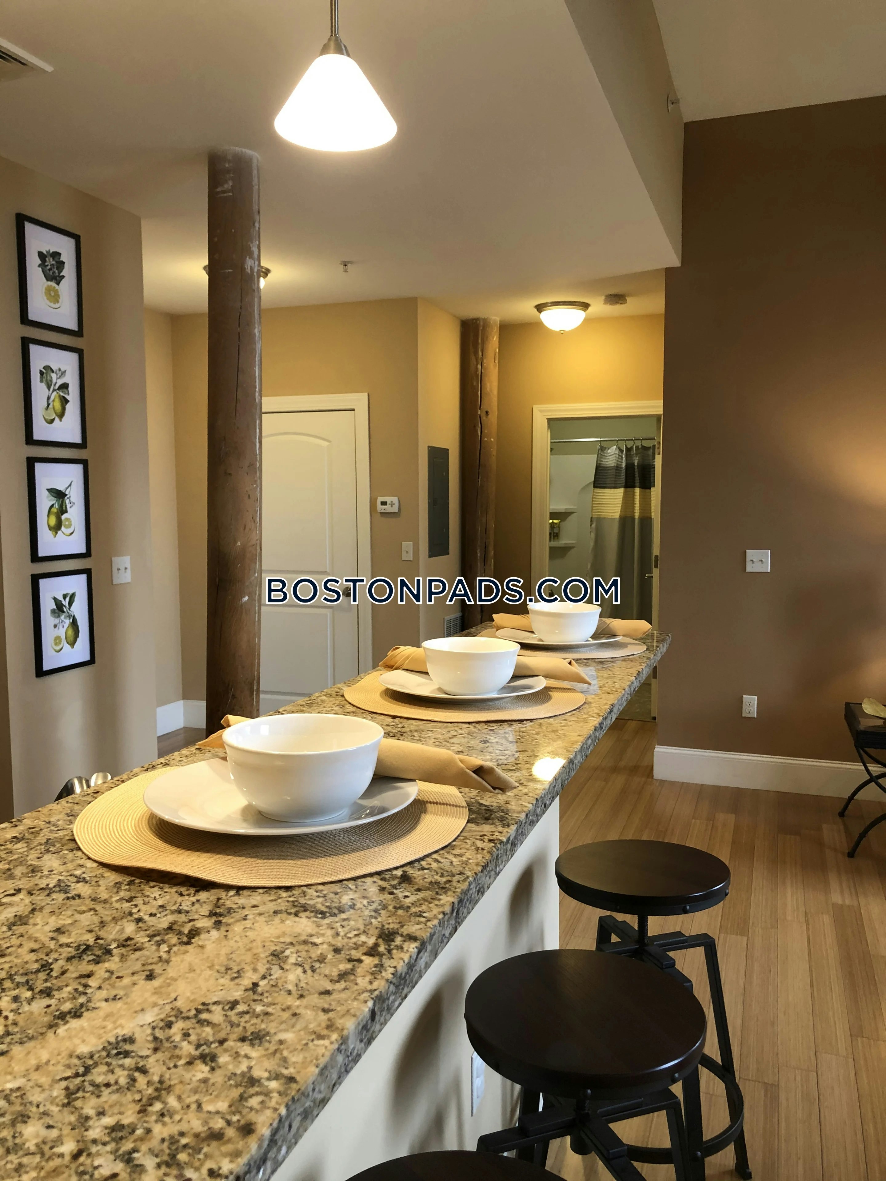 Lofts at Lancaster Mills Photo 15