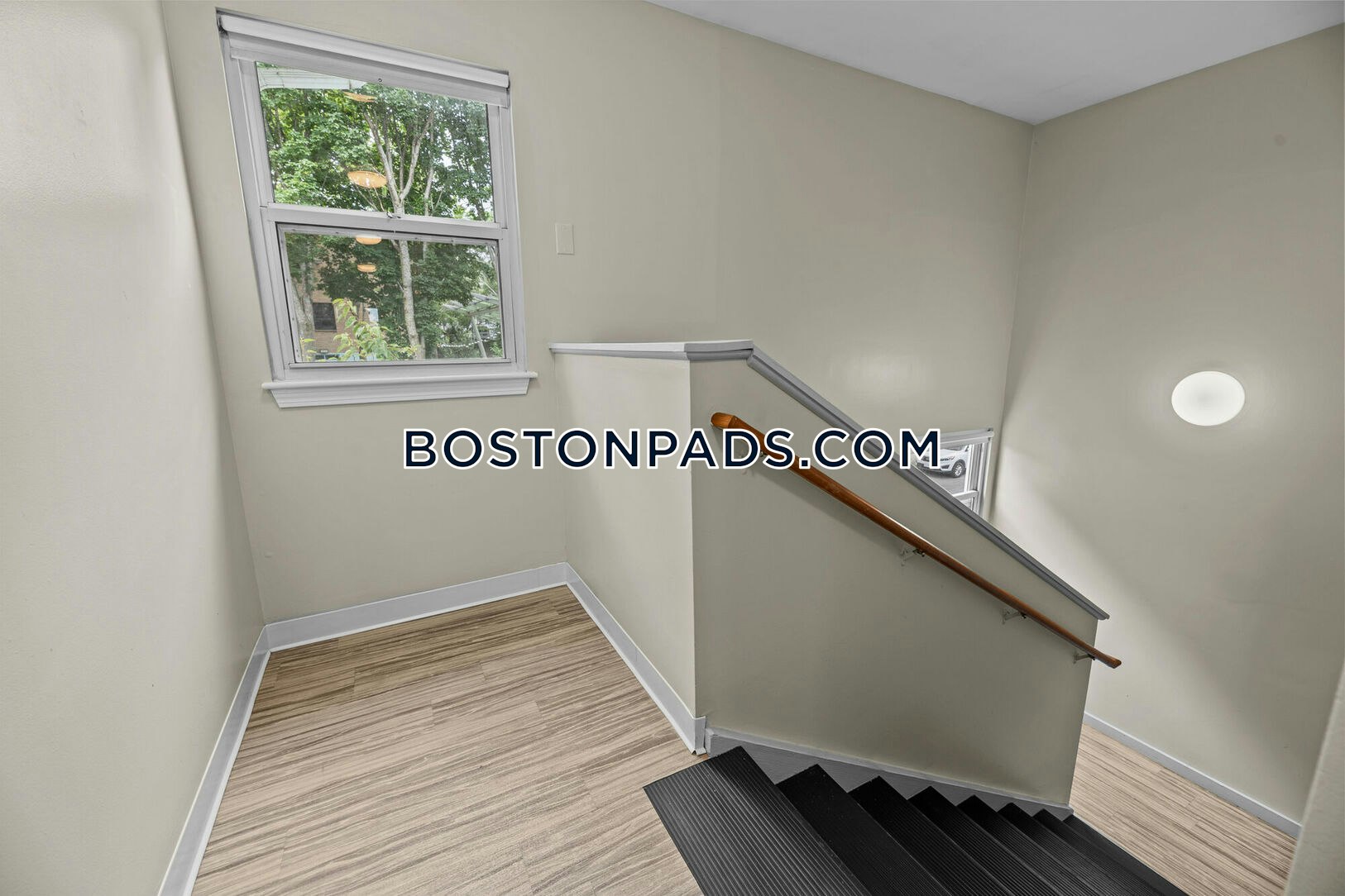 Mission Main Apartments Photo 2