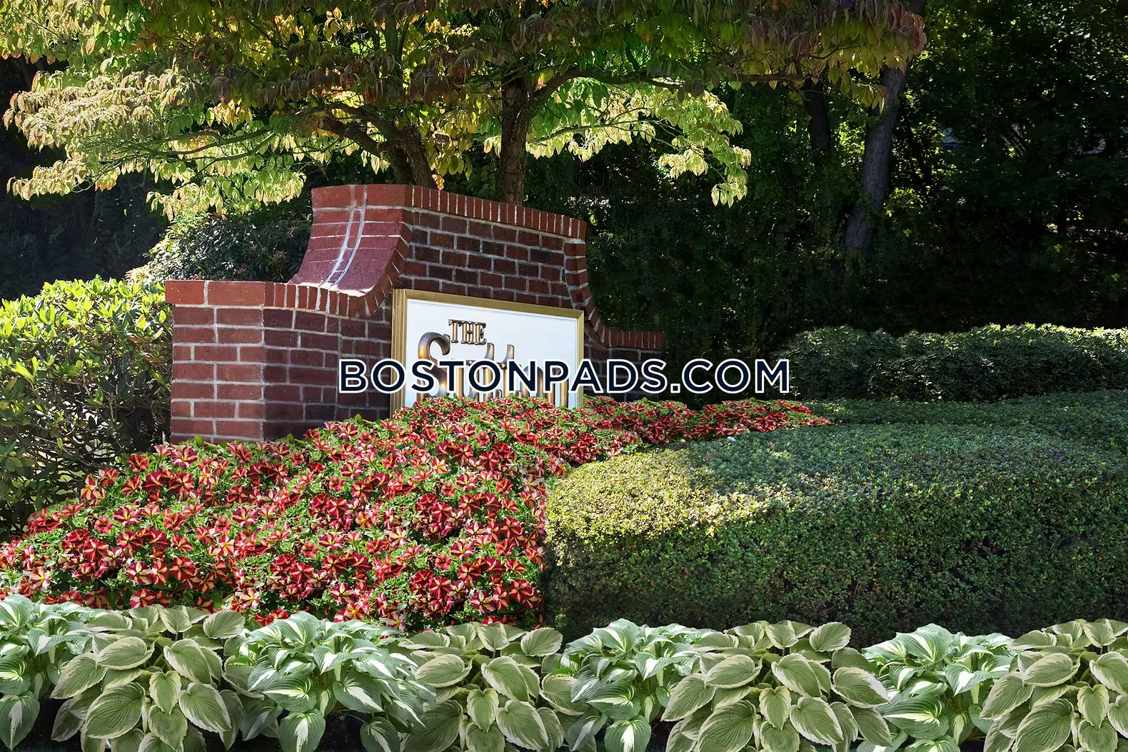 Sutton Apartments Photo 1