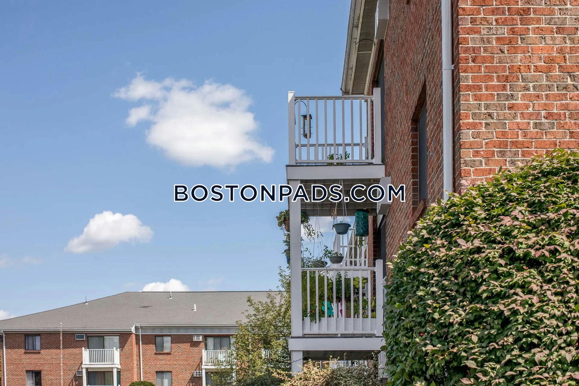 Princeton Green Photo 10