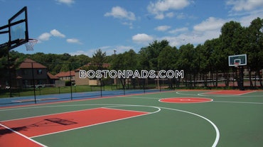 O'Callaghan Way. Lynn