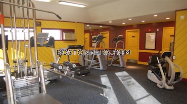 O'Callaghan Way. Lynn