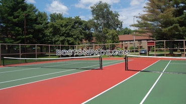 O'Callaghan Way. Lynn