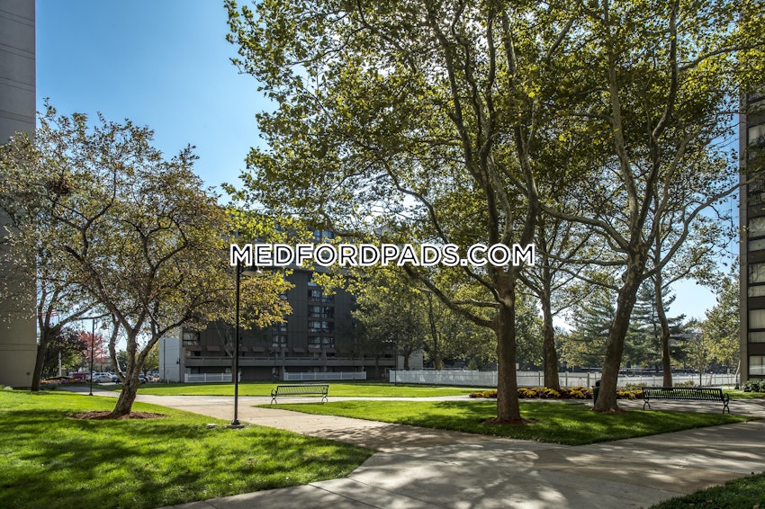 MEDFORD - WELLINGTON - 1 Bed, 1 Bath - Image 8