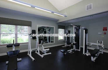 Norwood - 3 Beds, 2.5 Baths