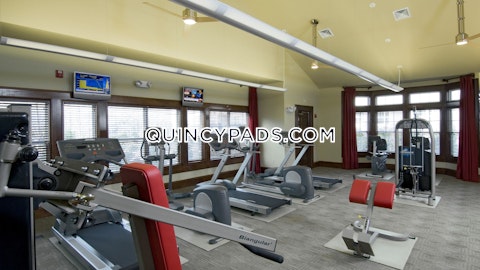 Ricciuti Dr. Quincy photo 2