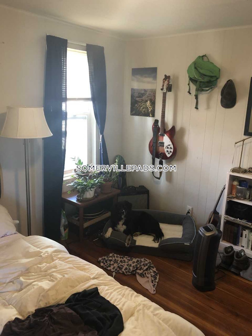 SOMERVILLE - DAVIS SQUARE - 3 Beds, 1 Bath - Image 19