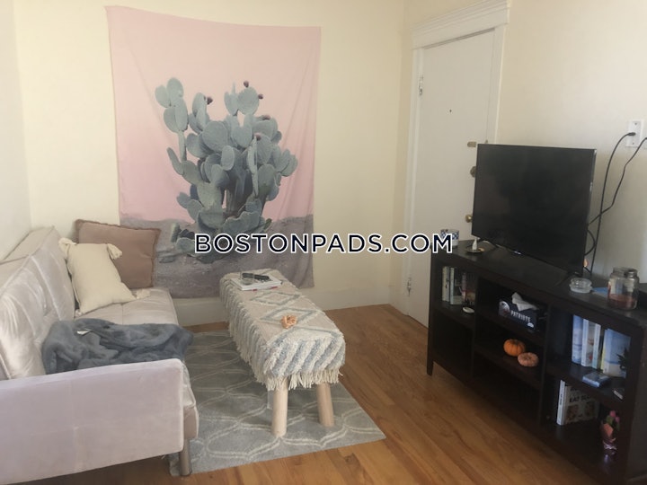 brighton-apartment-for-rent-2-bedrooms-1-bath-boston-3190-8031974 