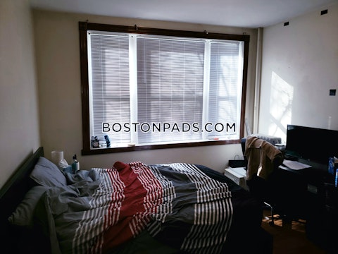 Gibbs St. Brookline photo 8