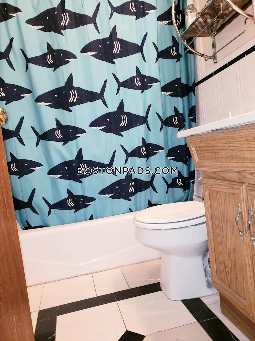 Brookline - $4,300+ /month