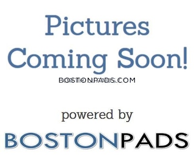 Allston Apartment for rent Studio 1 Bath Boston - $2,200 No Fee