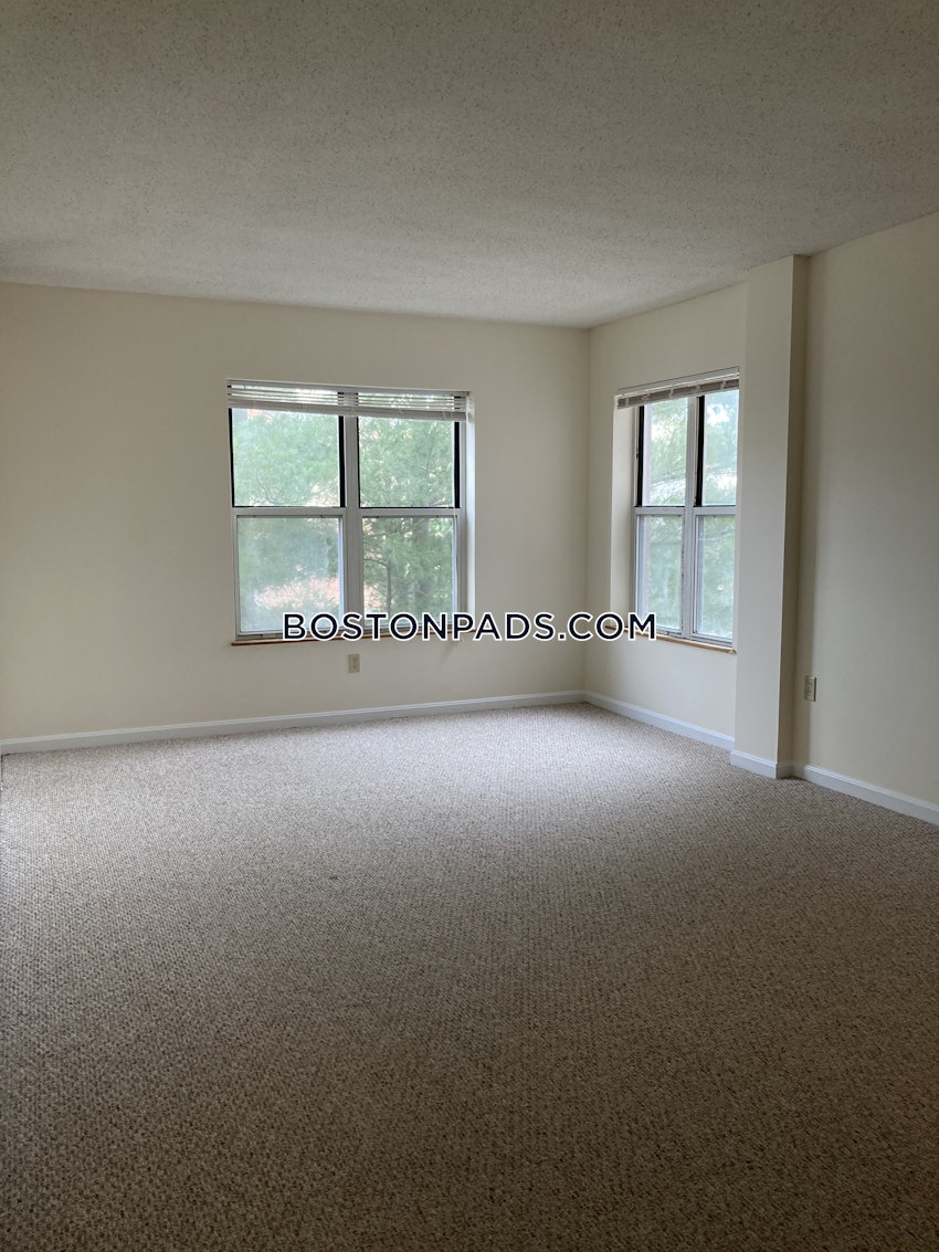 CAMBRIDGE - CENTRAL SQUARE/CAMBRIDGEPORT - 2 Beds, 2 Baths - Image 11