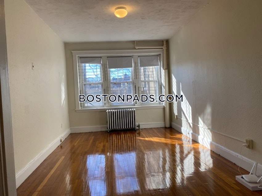 BOSTON - BRIGHTON - CLEVELAND CIRCLE - 1 Bed, 1 Bath - Image 46