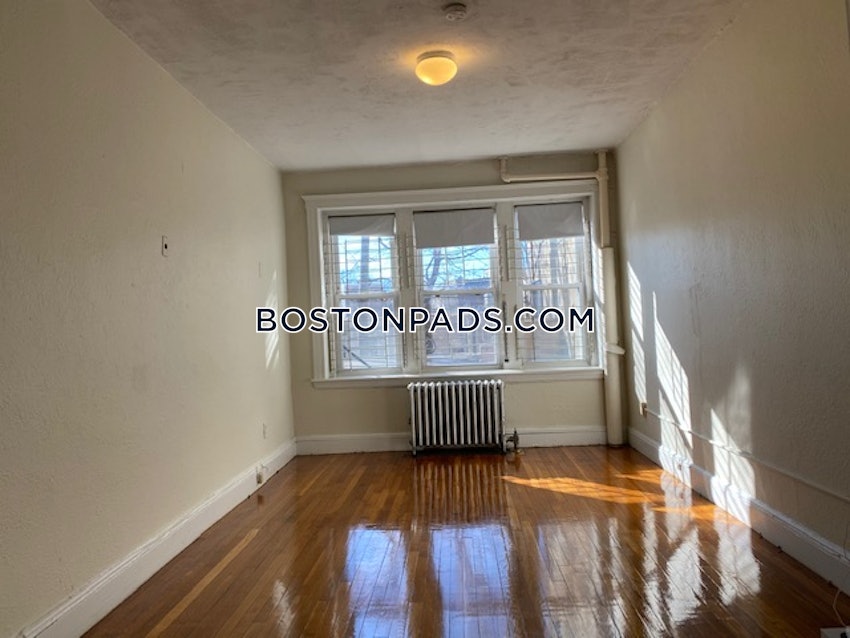 BOSTON - BRIGHTON - CLEVELAND CIRCLE - 1 Bed, 1 Bath - Image 42