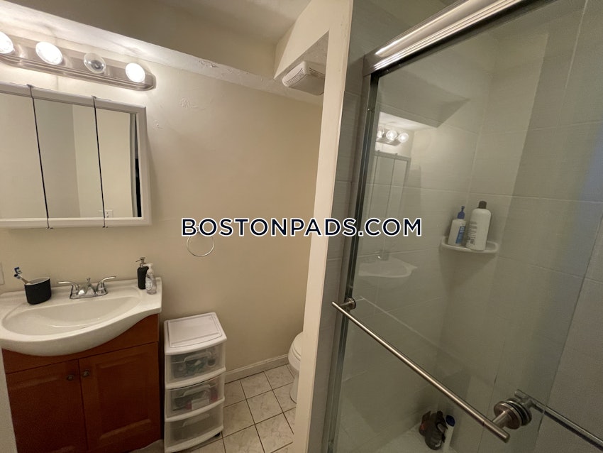 BROOKLINE- BOSTON UNIVERSITY - 6 Beds, 3 Baths - Image 48