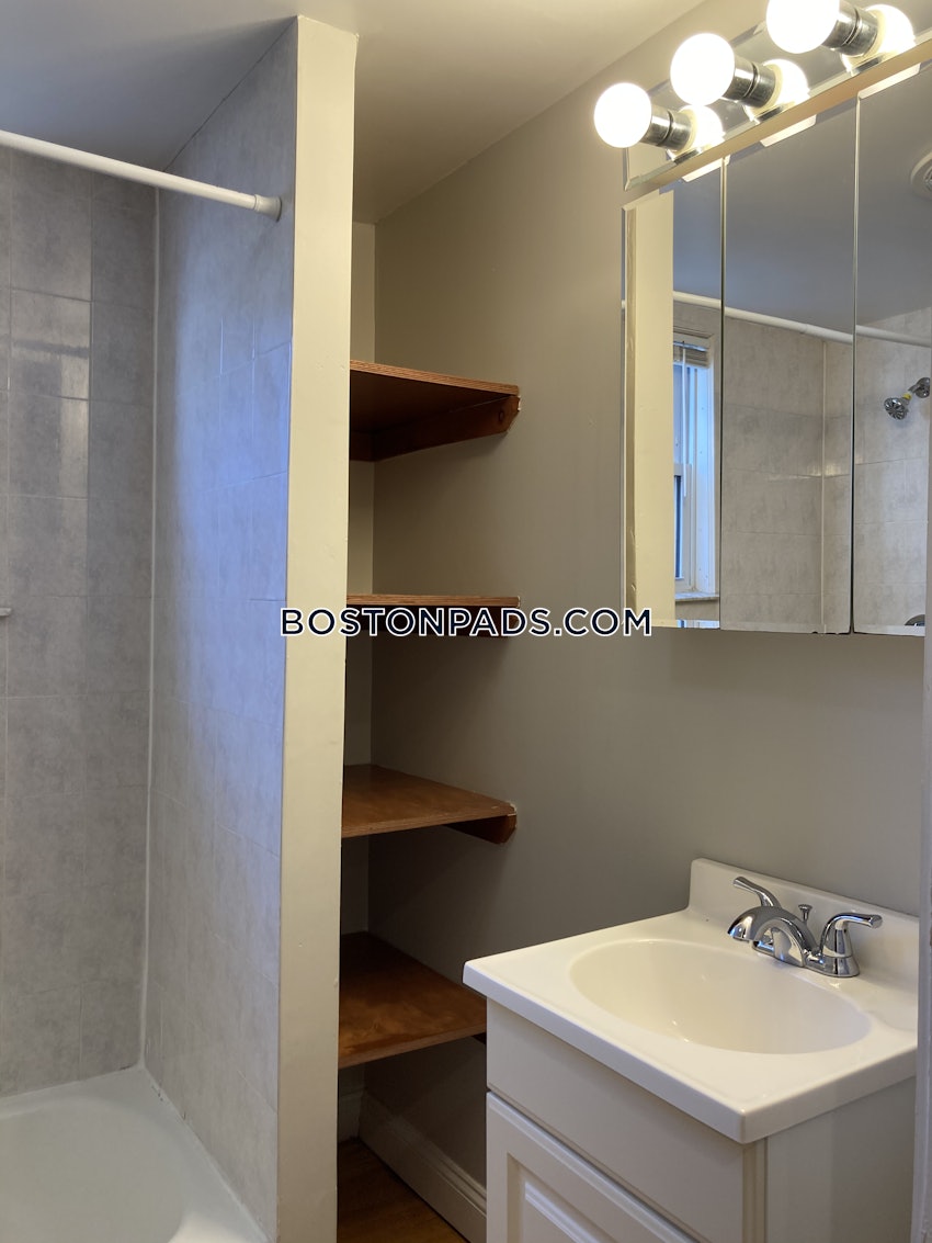 CAMBRIDGE - CENTRAL SQUARE/CAMBRIDGEPORT - 1 Bed, 1 Bath - Image 13