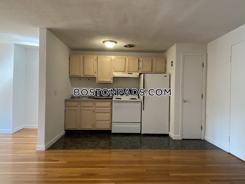 BOSTON - JAMAICA PLAIN - JAMAICA POND/PONDSIDE - 1 Bed, 1 Bath - Image 44