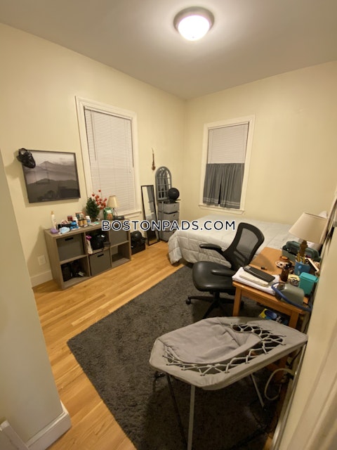 Juniper St. Boston photo 17