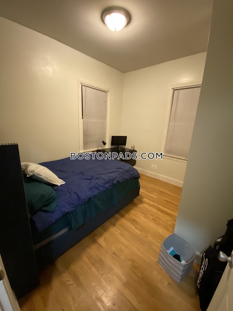 Juniper St. Boston photo 4